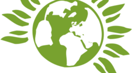 Timeline: History of The United States Green Party