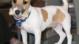 Timeline: Benjamin Franklin