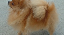 Timeline: History of Space Exploration