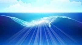 Timeline: The Timeline