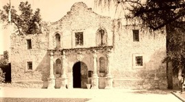 Timeline: Mr.M tracela