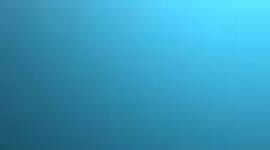 Timeline: Skolens formål i tal