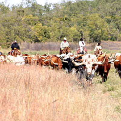 Timeline: Mr.M Hayley Davis