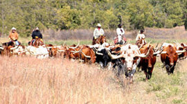 Timeline: Mr.M Hayley Davis