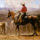Cow boy cowboy7 big