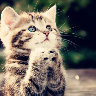 Timeline: Computer history