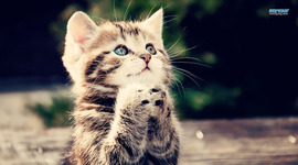 Timeline: Computer history