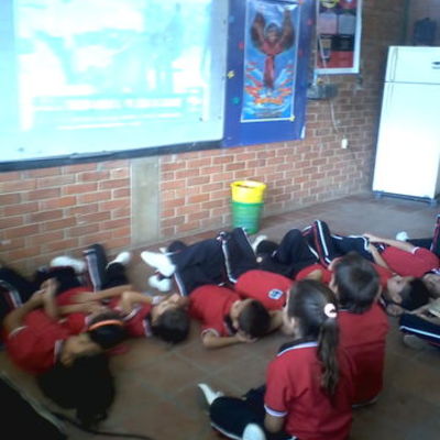 Timeline: Dejemos volar nuestra imaginación a través de las narraciones utilizando las Tic