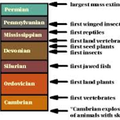 Timeline: Geologic Time Scale