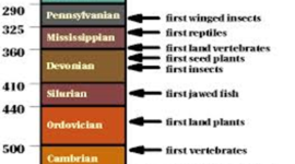 Timeline: Geologic Time Scale