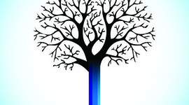 Timeline: My Education History