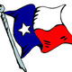 Texas flag