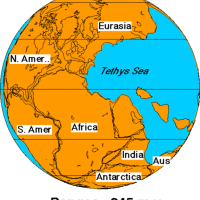 Timeline: Continental Drift