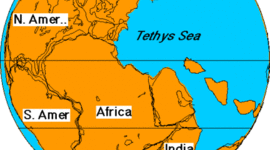 Timeline: Continental Drift