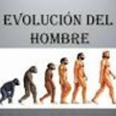 Timeline: Evolución Del Hombre