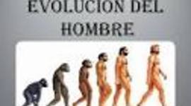 Timeline: Evolución Del Hombre