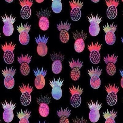 Timeline: Sofía Hernández