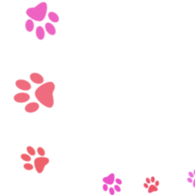 Timeline: Поездки в приют для животных