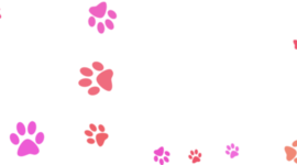 Timeline: Поездки в приют для животных