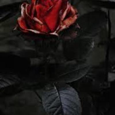 Timeline: b3 world history 1096- 1867