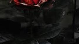 Timeline: b3 world history 1096- 1867