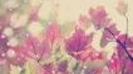 Timeline: American Revolution