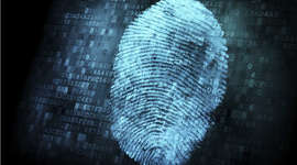 Timeline: History of Fingerprints