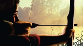 Timeline: Hatchet the book