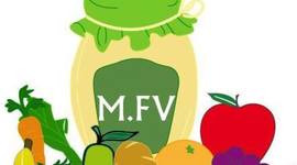 Timeline: nuestra empresa