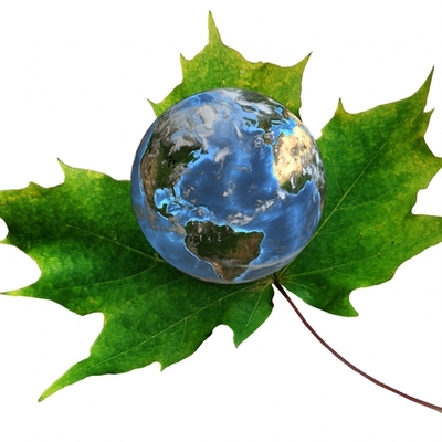 Timeline: Environmental Policies