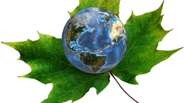 Timeline: Environmental Policies