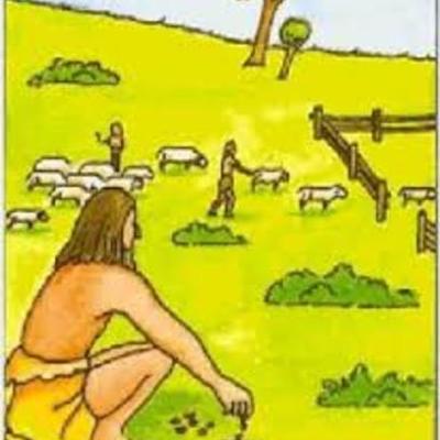 Timeline: Avance y desarrollo de la tecnología.