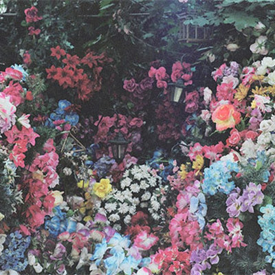 Timeline: Mi línea del tiempo.