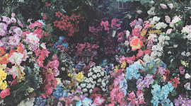 Timeline: Mi línea del tiempo.