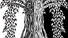 Timeline: Dance Through Time