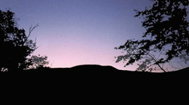 Timeline: Senior Project Timeline