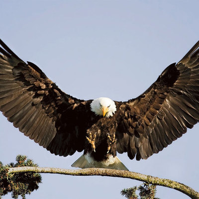 Timeline: History of Washington D.C.