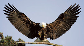 Timeline: History of Washington D.C.