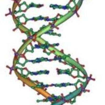 Timeline: The Story of the Double Helix