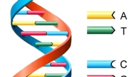 Timeline: ORIGIN OF DNA - Abdulrazaq Momoh