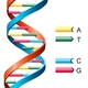 Dna