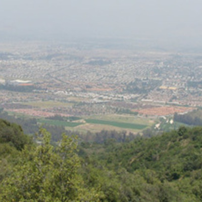 Timeline: Bosque Panul