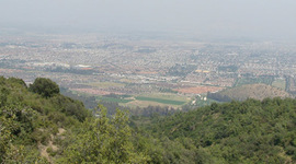 Timeline: Bosque Panul