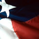 Texas state flag