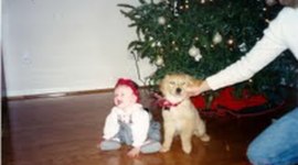 Timeline: La vida de Aurora