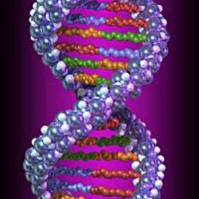 Timeline: Genetics and Gregor Mendel