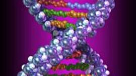 Timeline: Genetics and Gregor Mendel