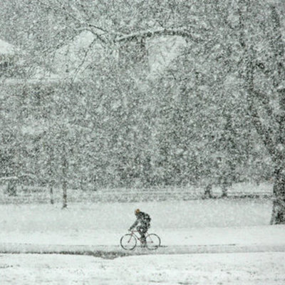 Timeline: Senior Project Timeline