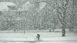 Timeline: Senior Project Timeline