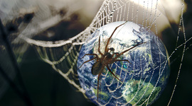 Timeline: Hunter Abbey's Internet Timeline